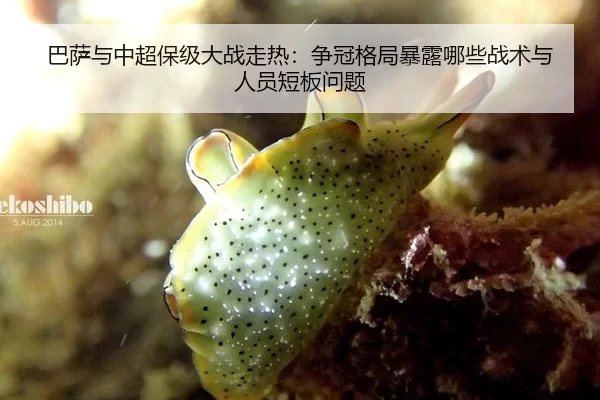 巴萨与中超保级大战走热：争冠格局暴露哪些战术与人员短板问题