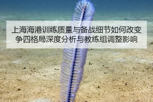 shang-hai-hai-gang-xun-lian-zhi-liang-yu-bei-zhan-xi-jie-ru-he-gai-bian-zheng-si-ge-ju-shen-du-fen-xi-yu-jiao-lian-zu-2-590.jpg